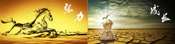 企業(yè)發(fā)展要學(xué)會取他人之長、補自己之短